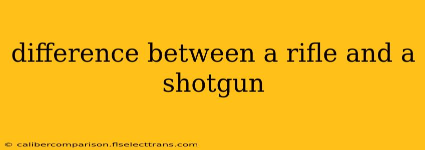 difference between a rifle and a shotgun