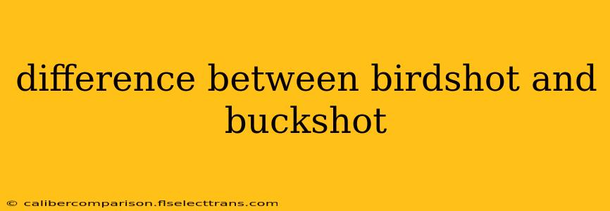 difference between birdshot and buckshot