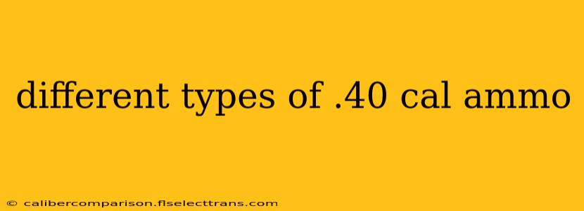 different types of .40 cal ammo