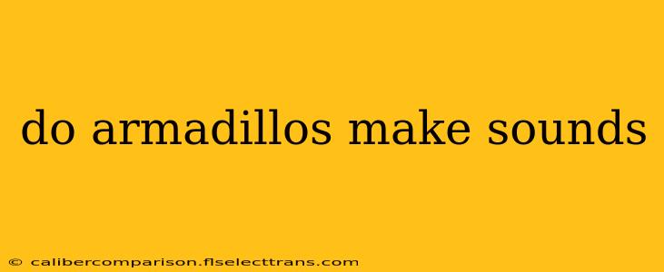 do armadillos make sounds