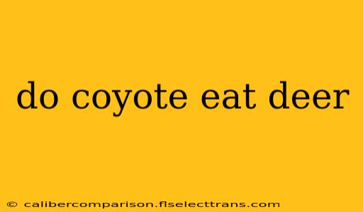 do coyote eat deer