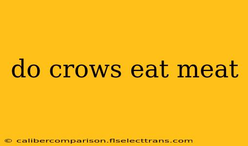 do crows eat meat