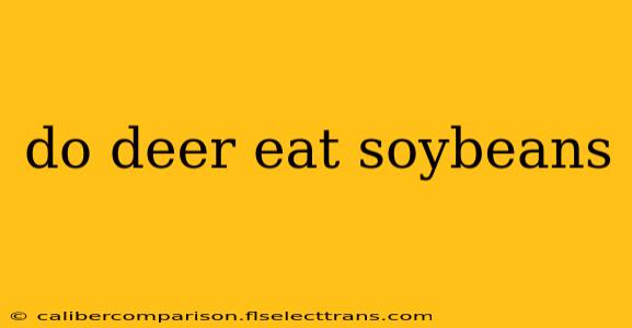 do deer eat soybeans