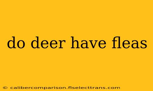 do deer have fleas