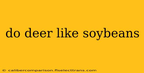 do deer like soybeans