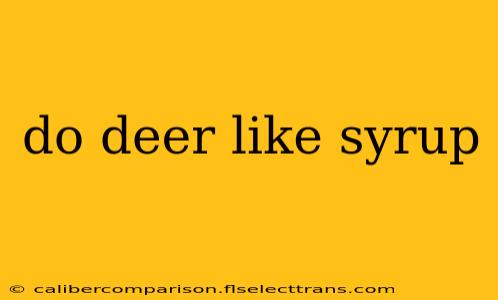 do deer like syrup