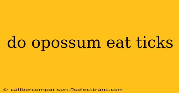 do opossum eat ticks