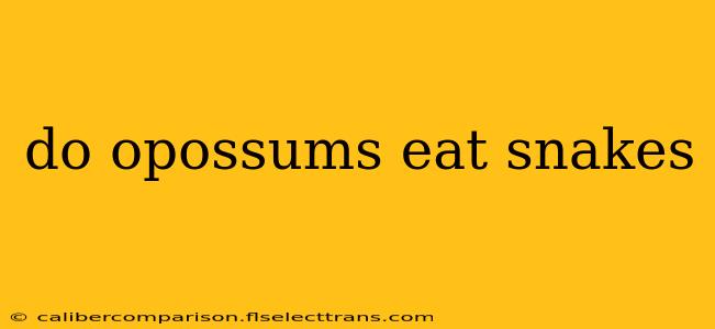 do opossums eat snakes