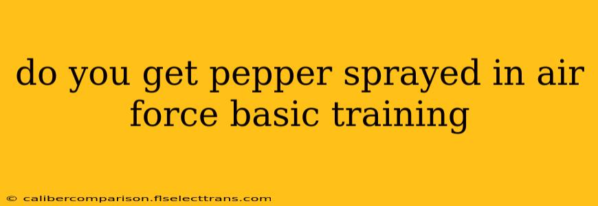 do you get pepper sprayed in air force basic training