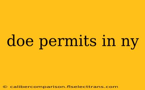 doe permits in ny