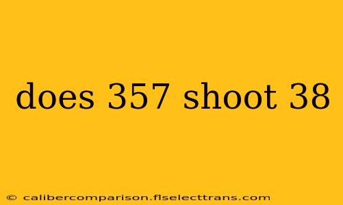 does 357 shoot 38