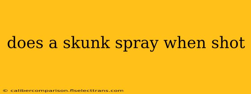 does a skunk spray when shot