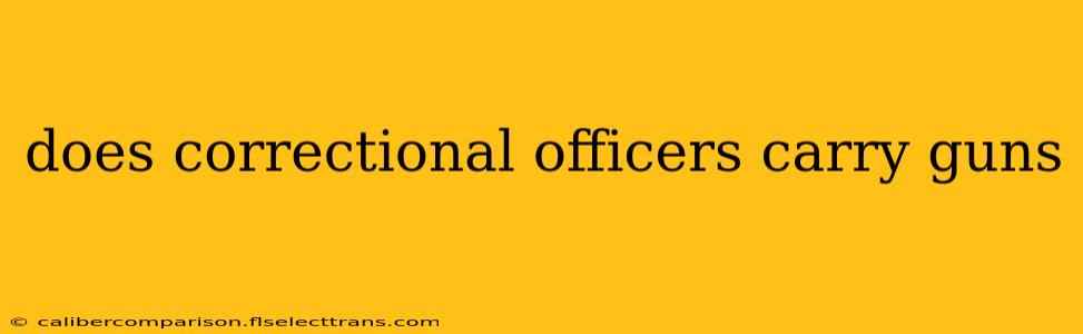 does correctional officers carry guns