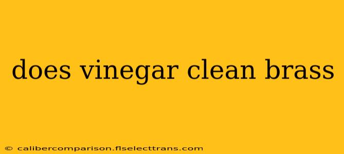 does vinegar clean brass