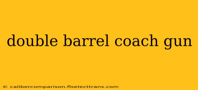 double barrel coach gun