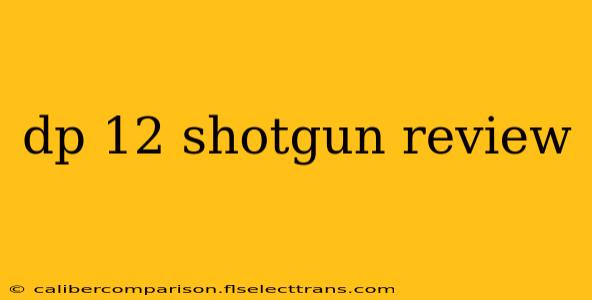 dp 12 shotgun review