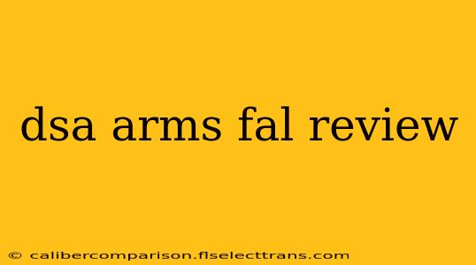 dsa arms fal review