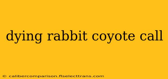 dying rabbit coyote call