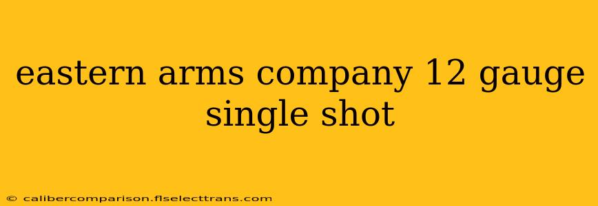 eastern arms company 12 gauge single shot