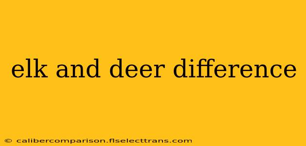 elk and deer difference