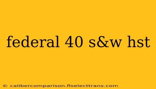 federal 40 s&w hst