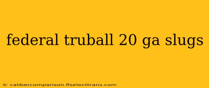 federal truball 20 ga slugs