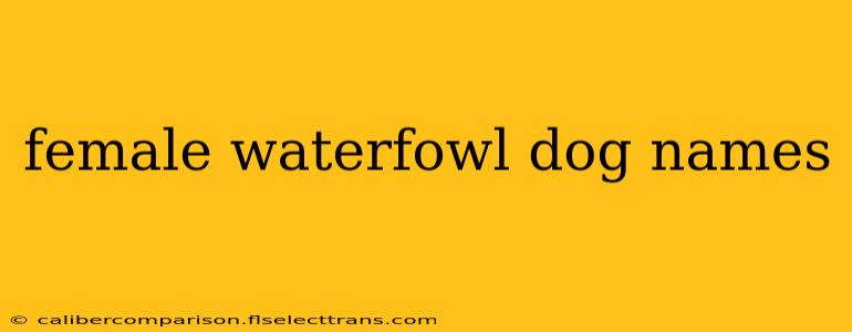 female waterfowl dog names