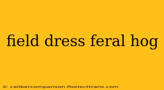 field dress feral hog