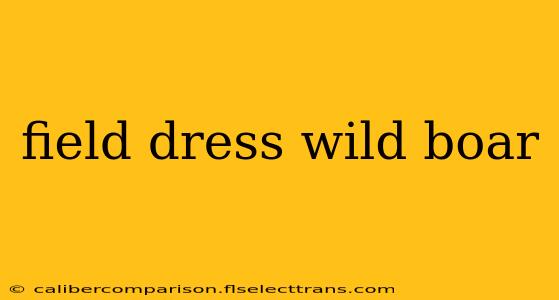 field dress wild boar