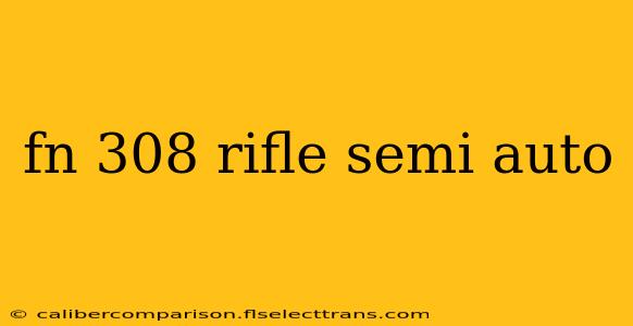 fn 308 rifle semi auto