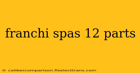 franchi spas 12 parts