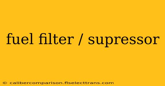 fuel filter / supressor