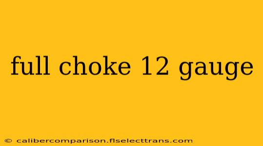 full choke 12 gauge