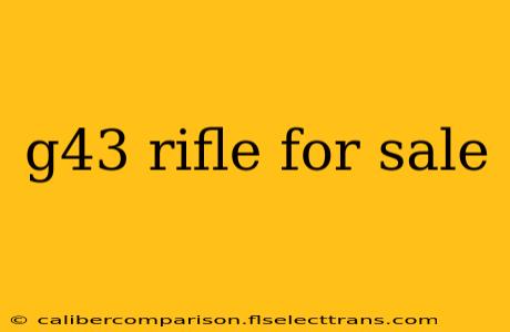 g43 rifle for sale