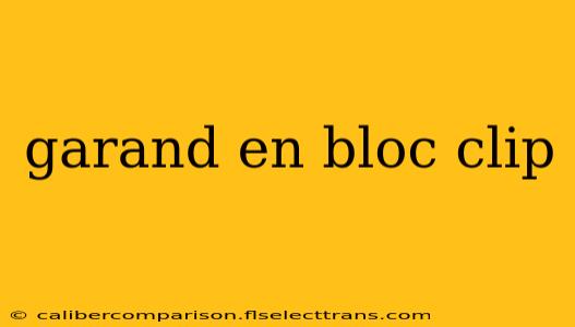 garand en bloc clip