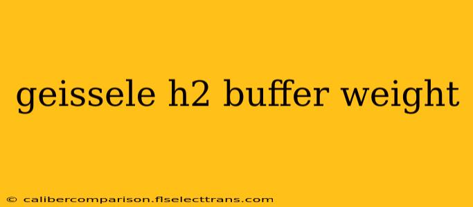 geissele h2 buffer weight