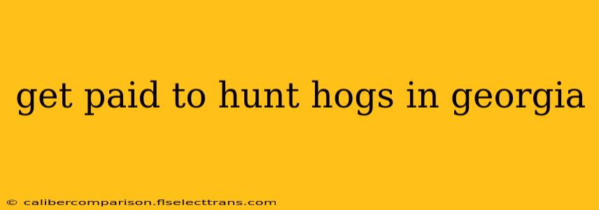 get paid to hunt hogs in georgia