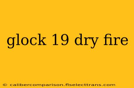 glock 19 dry fire