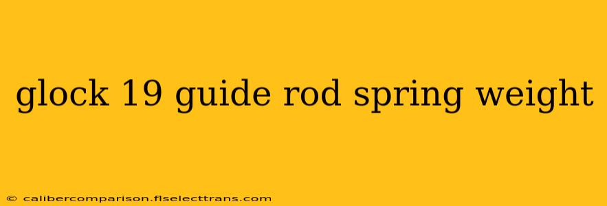 glock 19 guide rod spring weight