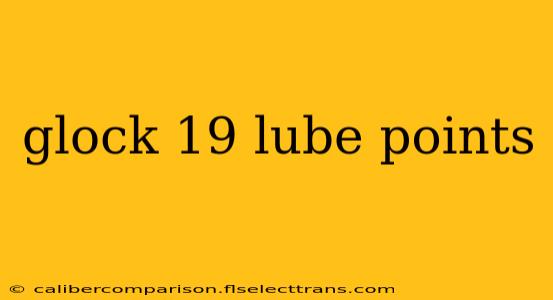 glock 19 lube points