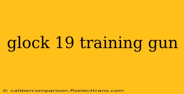 glock 19 training gun