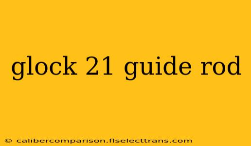 glock 21 guide rod