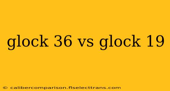 glock 36 vs glock 19