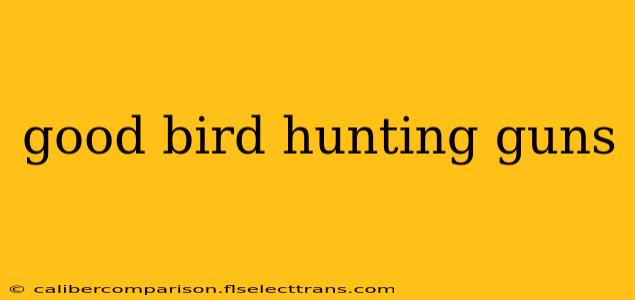 good bird hunting guns