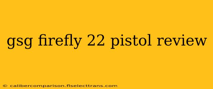 gsg firefly 22 pistol review