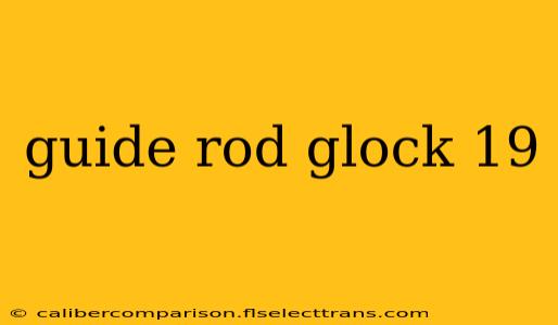 guide rod glock 19