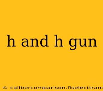 h and h gun