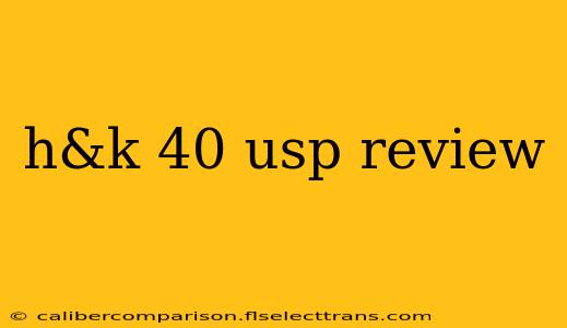 h&k 40 usp review