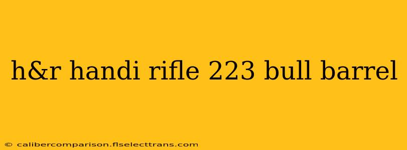 h&r handi rifle 223 bull barrel