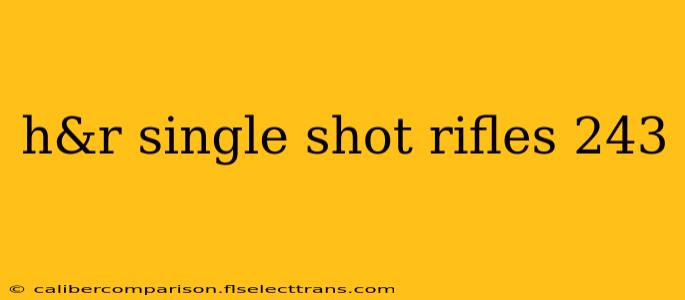 h&r single shot rifles 243